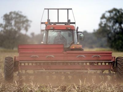 Safety not a priority on some WA farms: report
