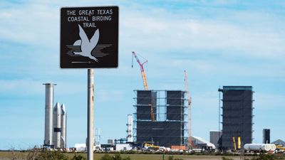 SpaceX Starship launch could harm South Texas birds, advocacy group says