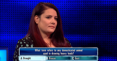 The Chase contestants branded 'worst team ever' with smallest collective score and low offers