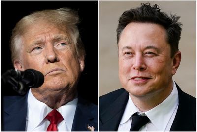 Trump lashes out at Elon Musk after tech mogul says he voted for Biden