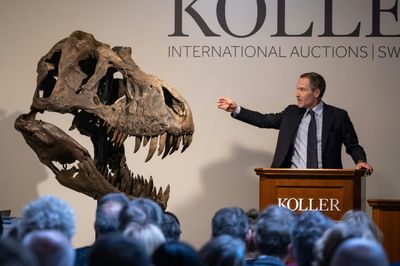 Trinity the T-Rex claws in more than $6 million