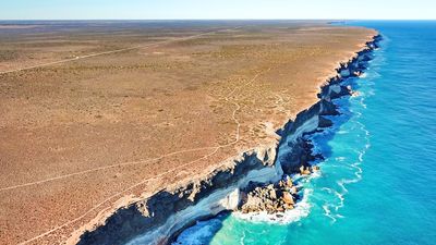 Ancient rocks reveal Nullarbor Plain's transition from lush forest to desert, study suggests