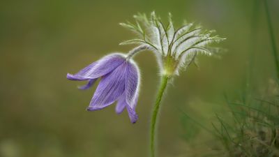 GuruShots: Winning images from the latest Macro Moments photo competition