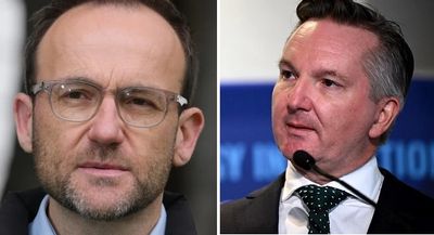 Bandt v Bowen: what do they really think of each other?