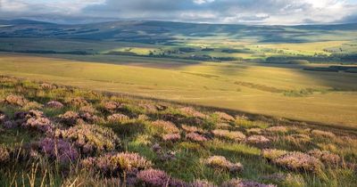 Final parts of Langholm Moor sold to Oxygen Conservation