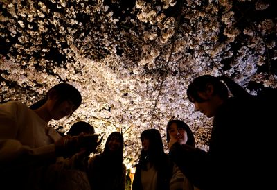 Japan's March visitors at post-COVID high, lured by cherry blossoms