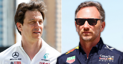 Christian Horner and Toto Wolff's true relationship explained in new F1 book