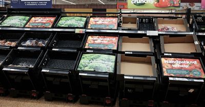 Food prices are rising at their fastest rate in more than 45 years
