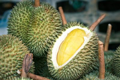 Durians imports via south China port to exceed 160,000 tonnes