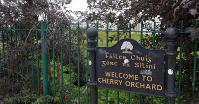 New Cherry Orchard Implementation Board set up after surge in anti-social behaviour and attacks