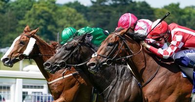 Claim your free horse racing tickets for the Sky Bet Sunday Series 2023