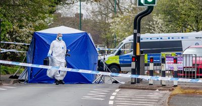 Man 'murdered' after being rammed off road in car and stabbed to death