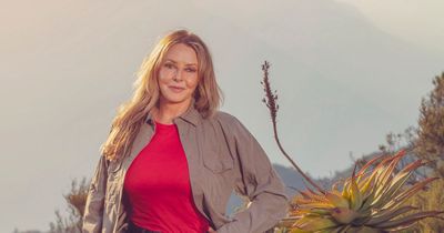 Carol Vorderman says she bought a house in Wales after I'm A Celebrity changed her