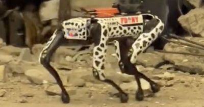 Robot dog spotted inspecting rubble at New York garage collapse which killed one