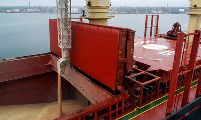 Ukraine grain deal: ship inspections have resumed, says minister