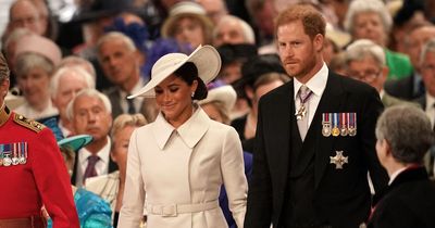 Harry and Meghan were 'concerned' about public's response and her safety at Coronation