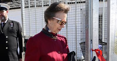 Princess Anne sends subtle message with well-chosen brooch after Coronation drama