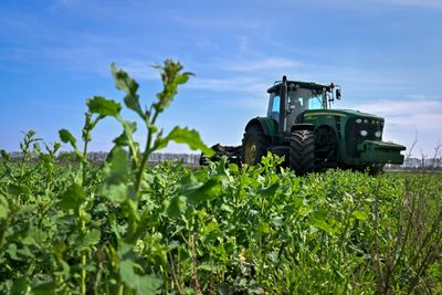 EU pledges more cash in Ukraine grain standoff, Bulgaria bans imports