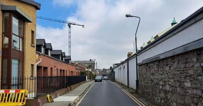 Residents by Dublin's Camden Street say revellers damaging cars and using gardens as toilets