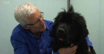 Dogs will line the streets for late Paul O'Grady's funeral in stunning tribute