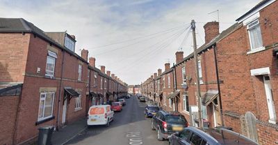 Rotherham dog attack: Boy, 3, mauled by XL Bully and rushed to hospital with head injuries