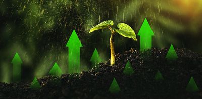 Sustainable investments are on the rise: does the EU have what it takes to fight greenwashing?