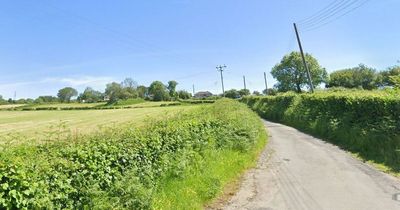 Man dies after being hit by car