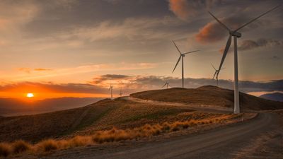 Why it's so hard to consent a wind farm