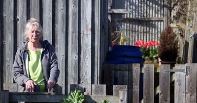County Durham widow's heartbreak after being given notice on allotment she tended with late husband