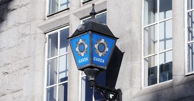 Human bones from up to five people found by construction workers on Dublin building site