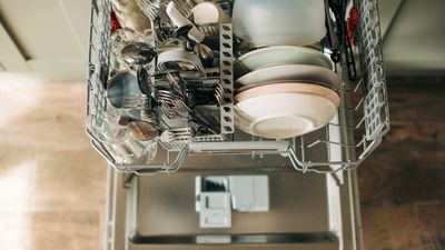 Rinse aid explained: What is dishwasher rinse aid, and where does it go?