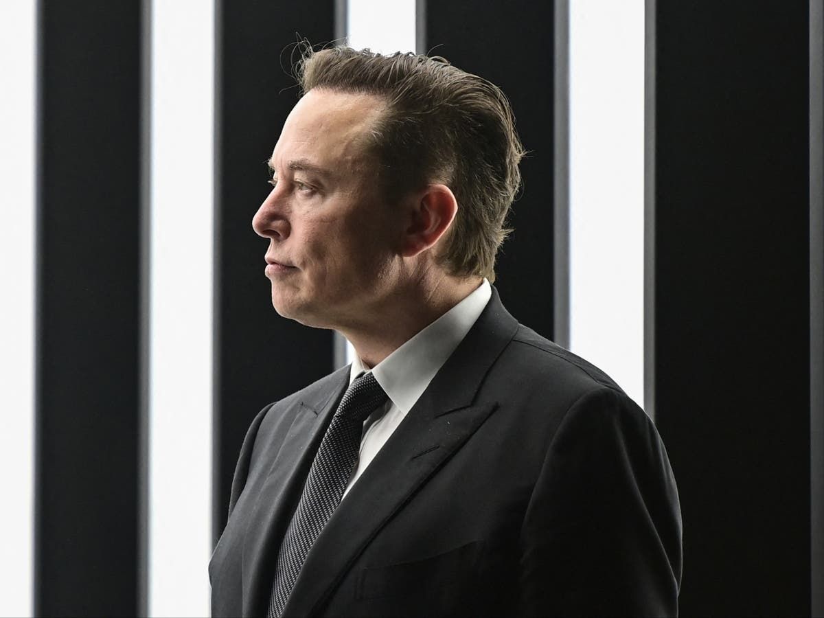 Elon Musk mocked for telling Tucker Carlson ‘birth…