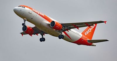 easyJet plane swarmed by police as it's forced to make an emergency landing in Munich