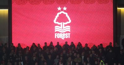 Tempers flare as nine-man Nottingham Forest lose Premier League Cup final to Tottenham