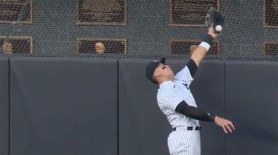 Look: Aaron Judge Robbed a Shohei Ohtani Home Run With His Bare Hand