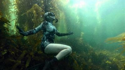 Spearfishing attracts a new wave of enthusiasts keen to source food sustainably