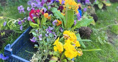 Former landlady admits taking flowers from Nottinghamshire pub