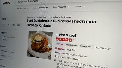 How to find sustainable businesses on Yelp