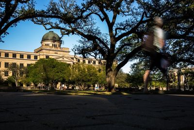 Texas Senate approves bill that would ban diversity programs in public universities