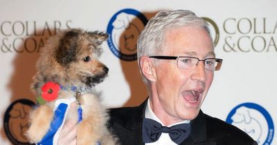 Dogs from Battersea to form guard of honour at Paul O'Grady's funeral