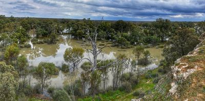 Victoria’s plans for engineered wetlands on the Murray are environmentally dubious. Here’s a better option