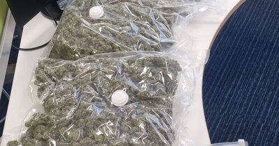 Police stop driver for seatbelt offence... and make a 'big find'