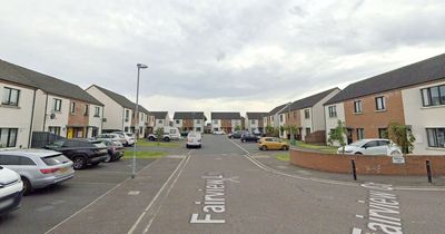 Newtownabbey: Four men armed with baseball bats break into home and smash TV and mirror