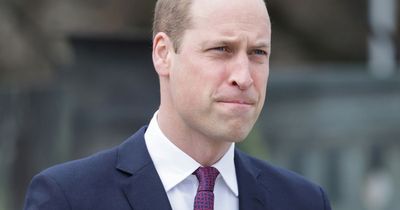 Prince William dubbed 'difficult' to work with claims royal expert