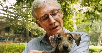 Dogs from Battersea charity to form guard of honour ahead of Paul O’Grady’s funeral