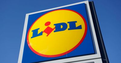 Lidl wins high court case against Tesco in supermarket copyright battle