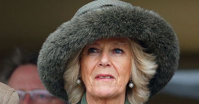 Queen Camilla's son slams Coronation food and reveals two items she won't have served