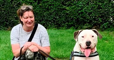 Woman loses arm as she's mauled by rescue dog to sue RSPCA 'who didn't warn her'