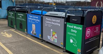 Glasgow back court bin collections to be replaced by on-street hubs in council shake up