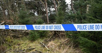 Body of man found in woods may have been there for months